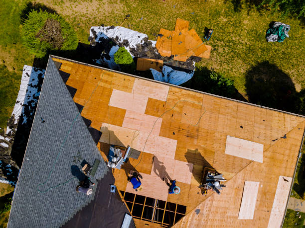 Best Roof Leak Repair  in Ckam Housing, HI
