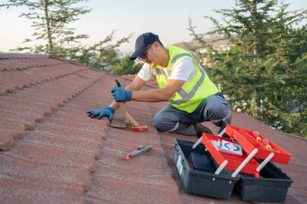 Best Roof Repair Services  in Ckam Housing, HI