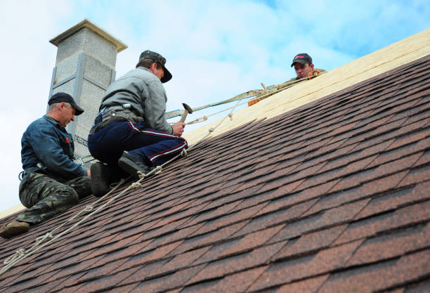 Best Metal Roofing Contractor  in Ckam Housing, HI